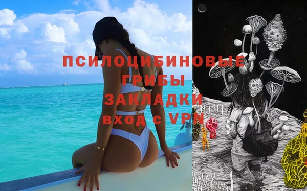 прущая мука Саяногорск